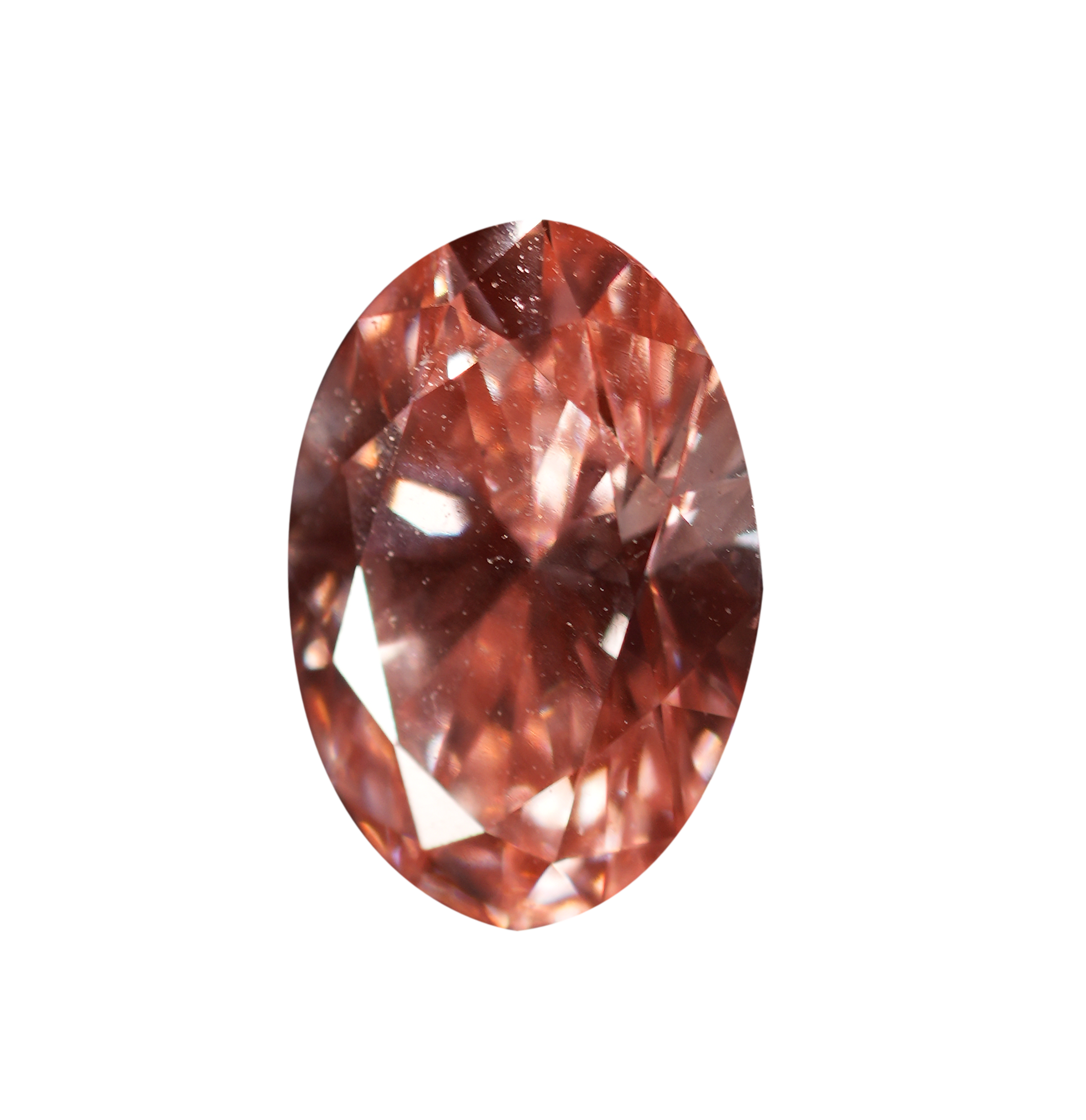 90 Pointers Pink Incarnated