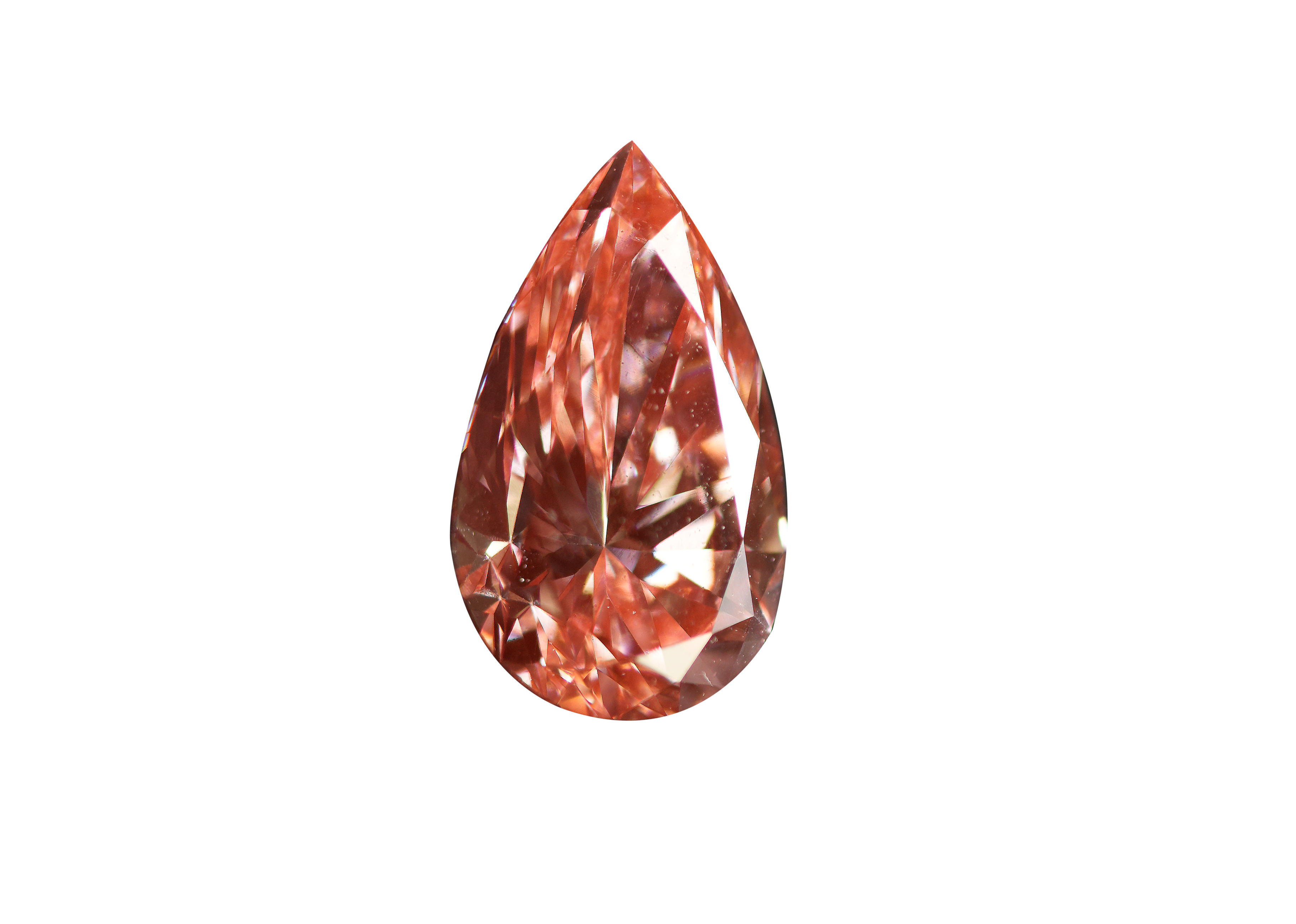 96 Pointers Pink Glimmer